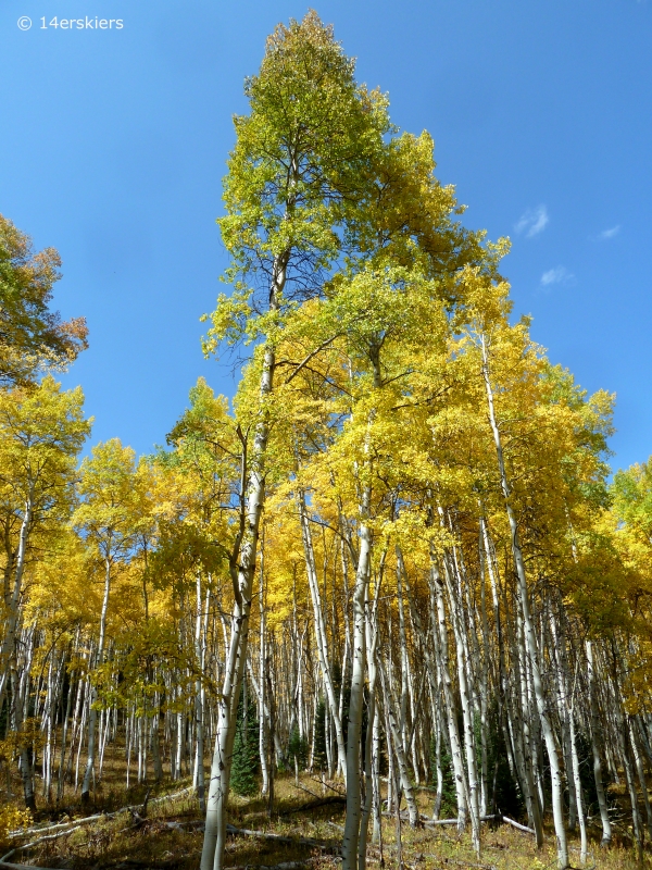 Pass Creek hike near Crested Butte, CO