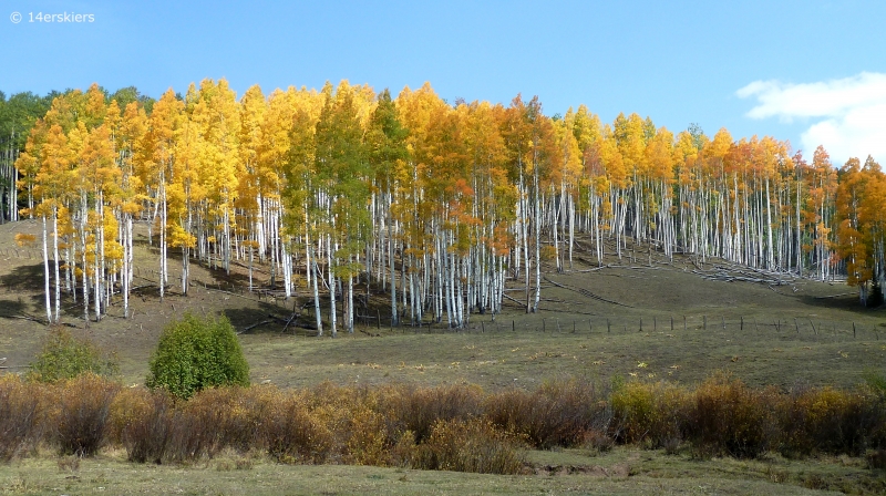 Pass Creek hike near Crested Butte, CO