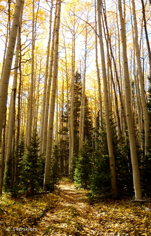 Pass Creek hike near Crested Butte, CO