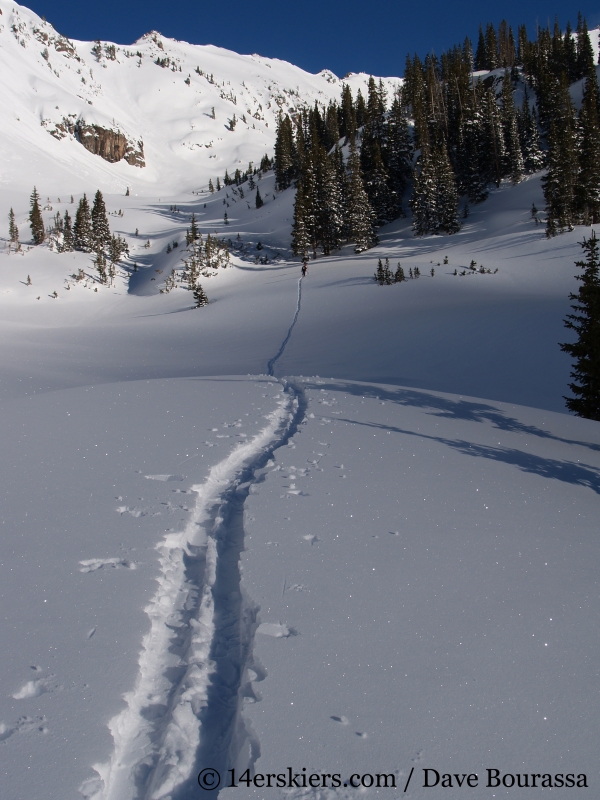 Skin track in Pitkin Creek drainage. 