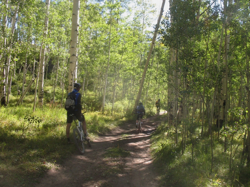 Mountain bike from Crested Butte to Aspen over Pearl Pass