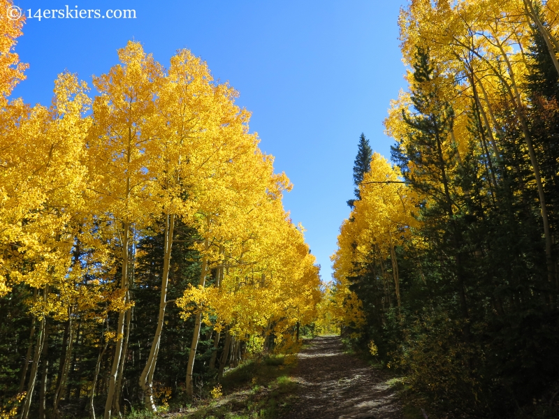 Gunsight Pass Road near Crested Butte.