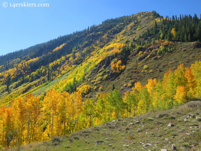 Climax seen from Gunsight Pass Rd.