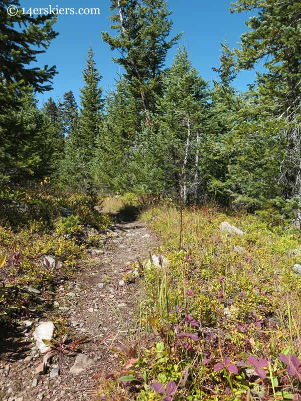 Peeler Lakes trail near Crested Butte