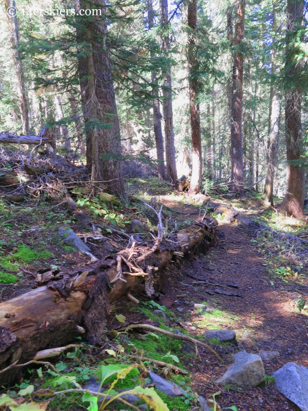 Peeler Lakes trail near Crested Butte