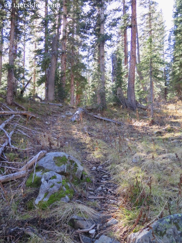 Peeler Lakes Trail near Crested Butte