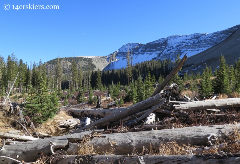 Avalanche debris near Peeler Lakes near Crested Butte