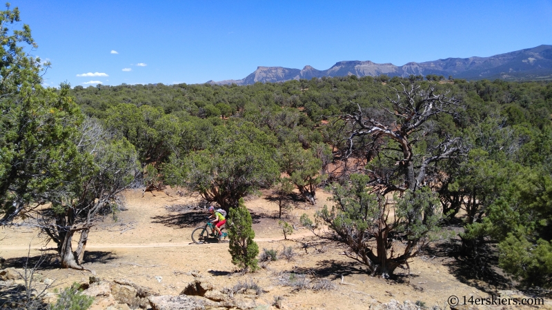 cortez mountain biking