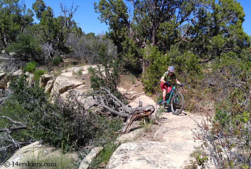 pinon forest mountain biking