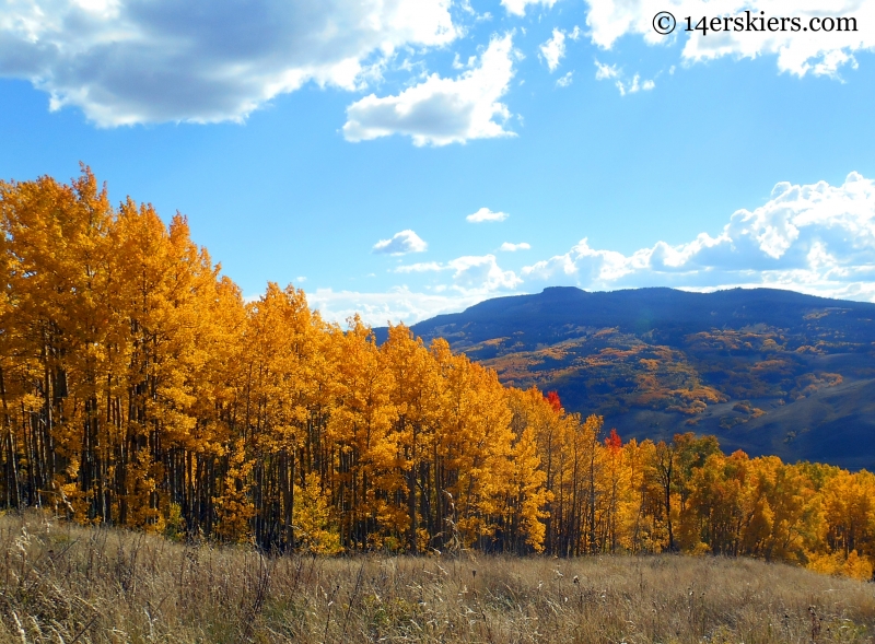 Mountain biking Point Lookout and 409.5 near Crested Butte, CO.