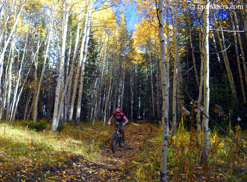 Mountain biking Point Lookout and 409.5 near Crested Butte, CO.