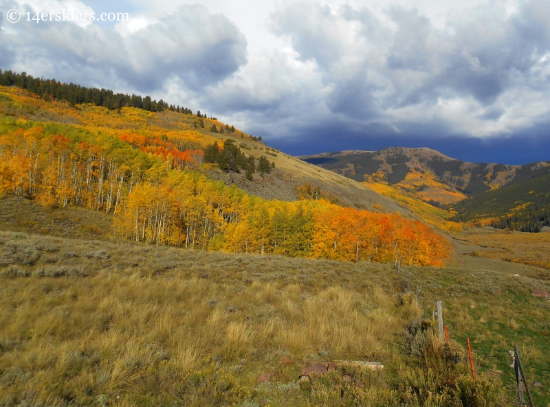 Mountain biking Point Lookout and 409.5 near Crested Butte, CO.