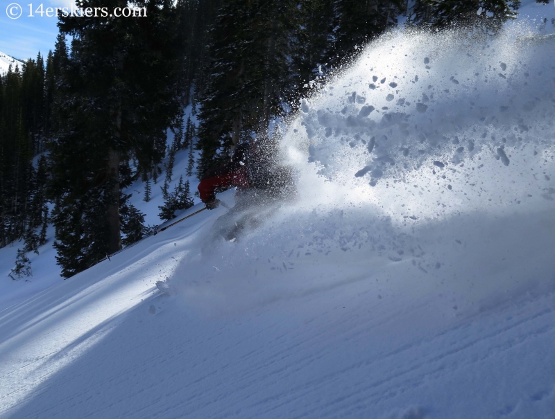 mark robbins telemark