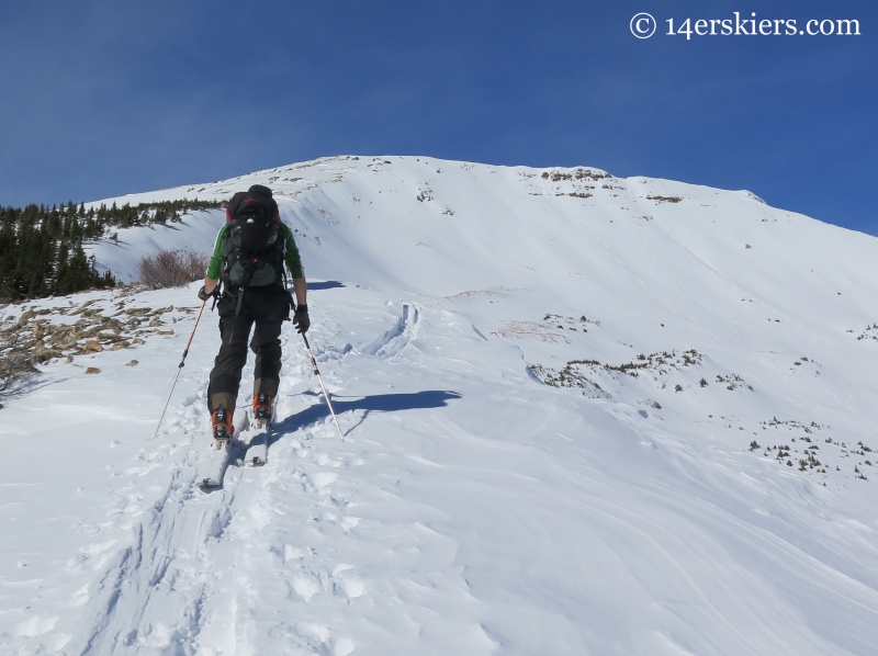 Skinning on the Red Lady ridge while backcountry skiing in Crested Butte