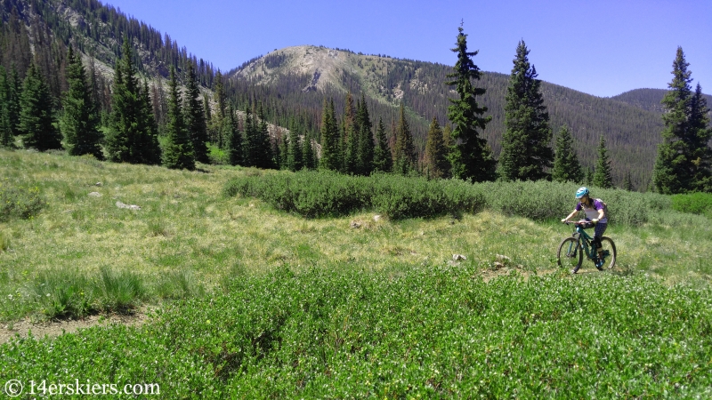 Mountain biking South Quartz trail near Pitkin, CO