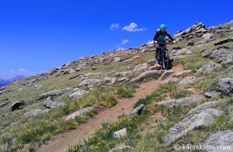 Mountain biking Horseshoe Trail near Whitepine, CO.