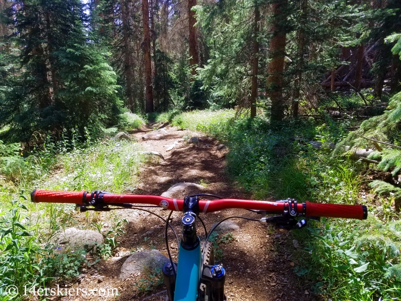 Mountain biking Horseshoe Trail near Whitepine, CO.