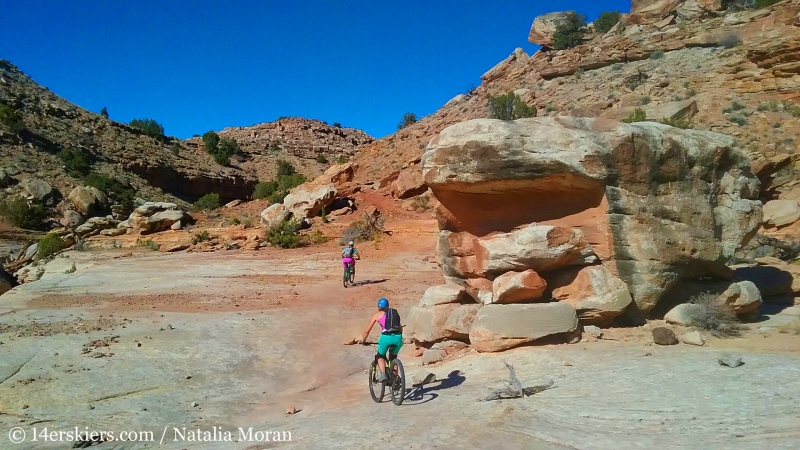 Mountain biking Rabbit Valley Western Rim Trail near Fruita.