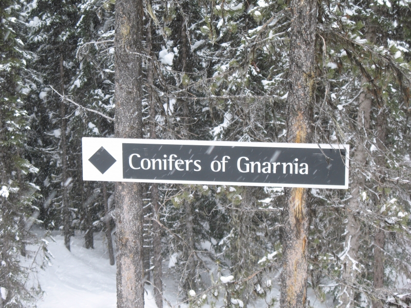 Skiing at Revelstoke, British Columbia