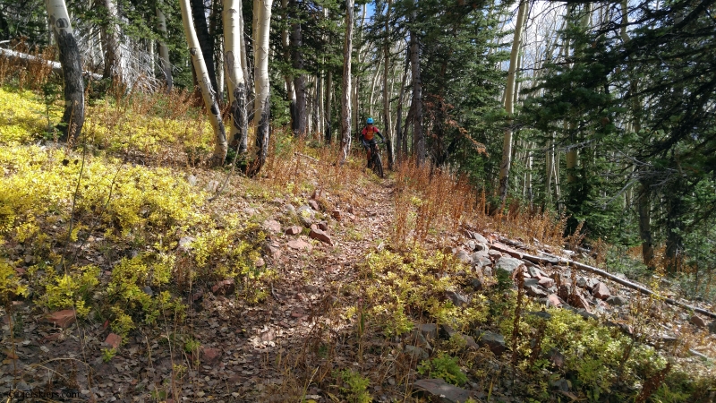 upper cattle creek basalt