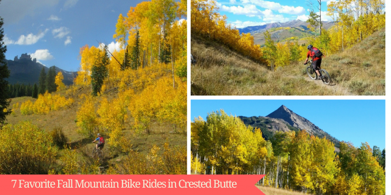 7 Favorite Fall Mountain Bike Rides in Crested Butte