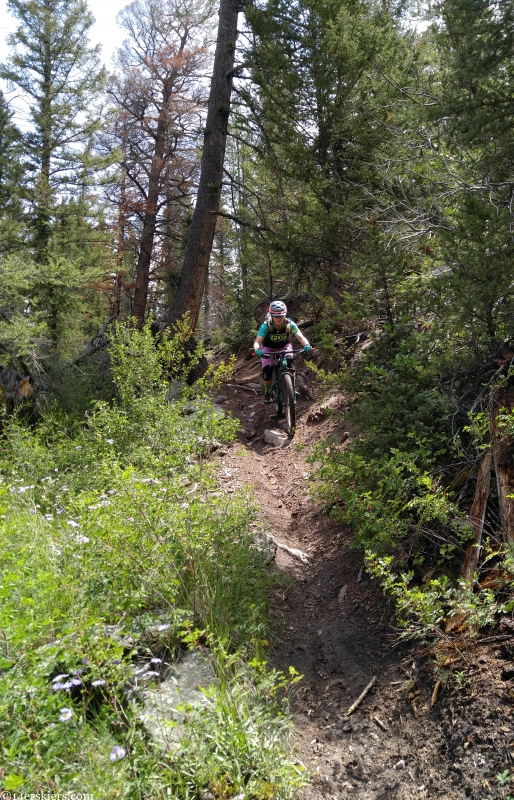 Crested Butte Gunnison Trailquest