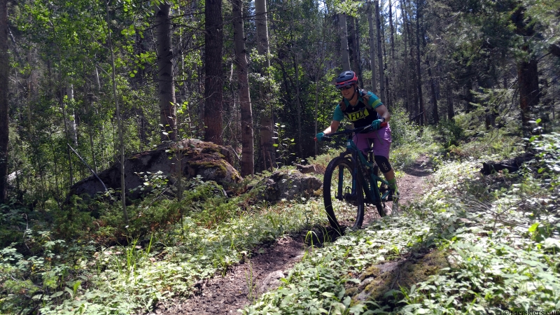 Barrett Creek Trail mountain biking gunnison