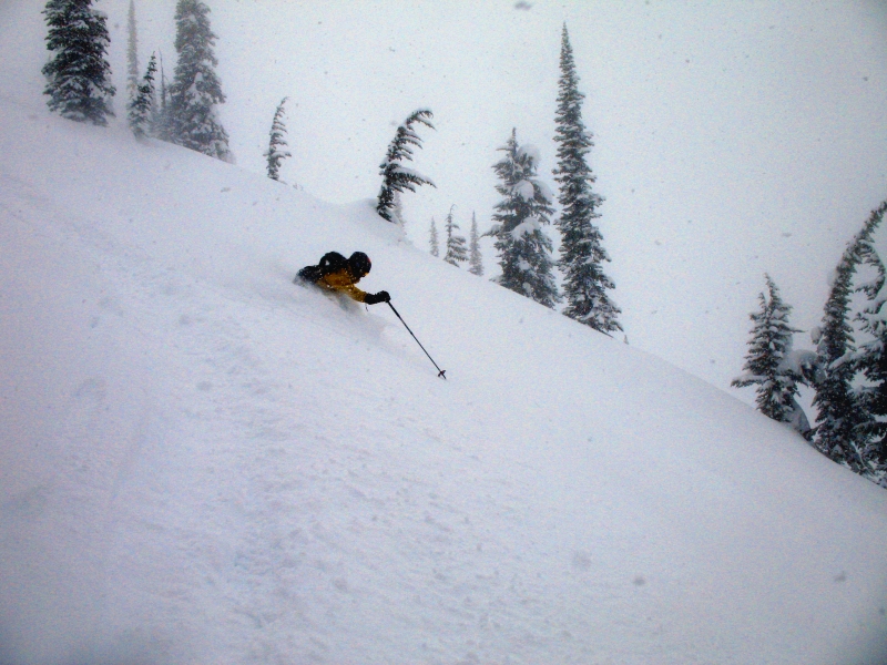 Backcountry skiing Roger's Pass, British Columbia, Canada