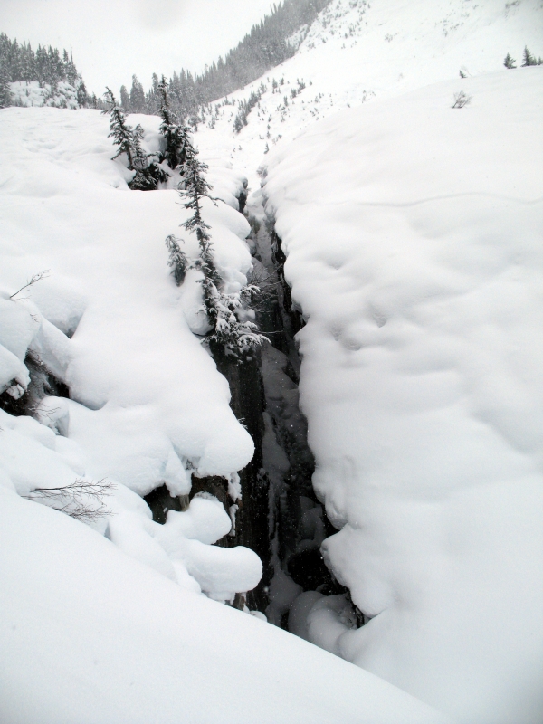 Backcountry skiing Roger's Pass, British Columbia, Canada