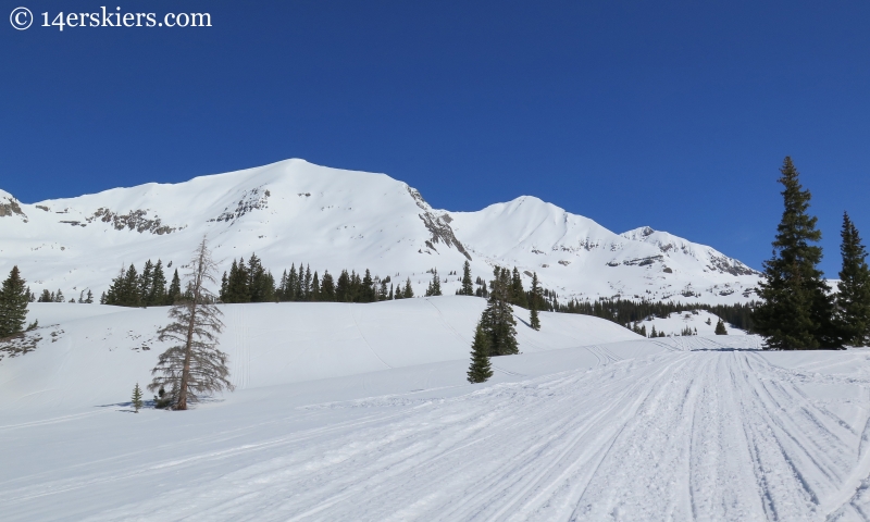 Ruby, Owen, and Purple near Crested Butte, CO