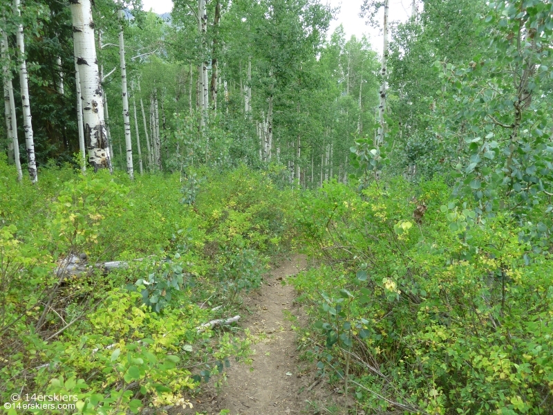 Hiking Ruby Anthracite Trail near Crested Butte, CO.