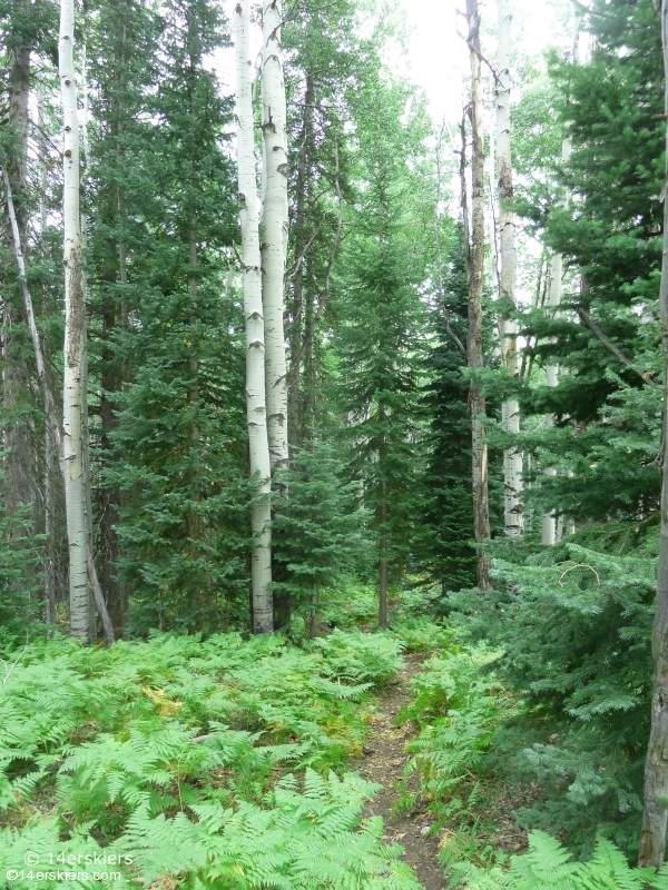 Hiking Ruby Anthracite Trail near Crested Butte, CO.