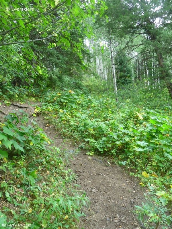 Hiking Ruby Anthracite Trail near Crested Butte, CO.