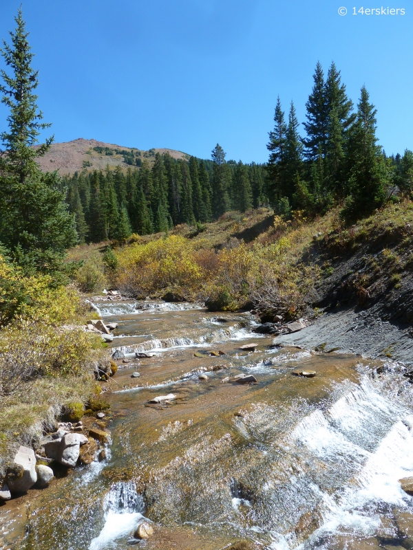 Hiking Rustler Gulch near Crested Butte, CO.