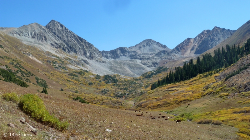 Hiking Rustler Gulch near Crested Butte, CO.