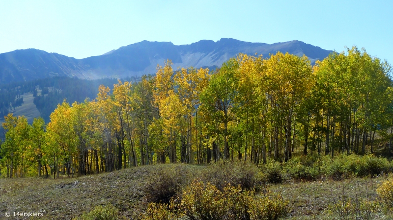 Hiking Rustler Gulch near Crested Butte, CO.