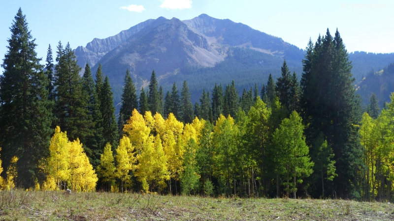 Hiking Rustler Gulch near Crested Butte, CO.