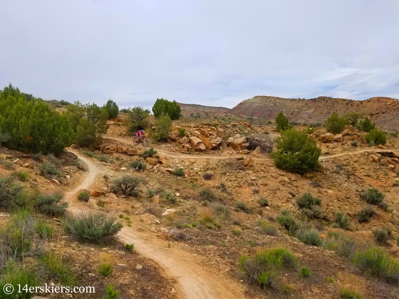 Mountain Biking 101 - Rustlers Trail