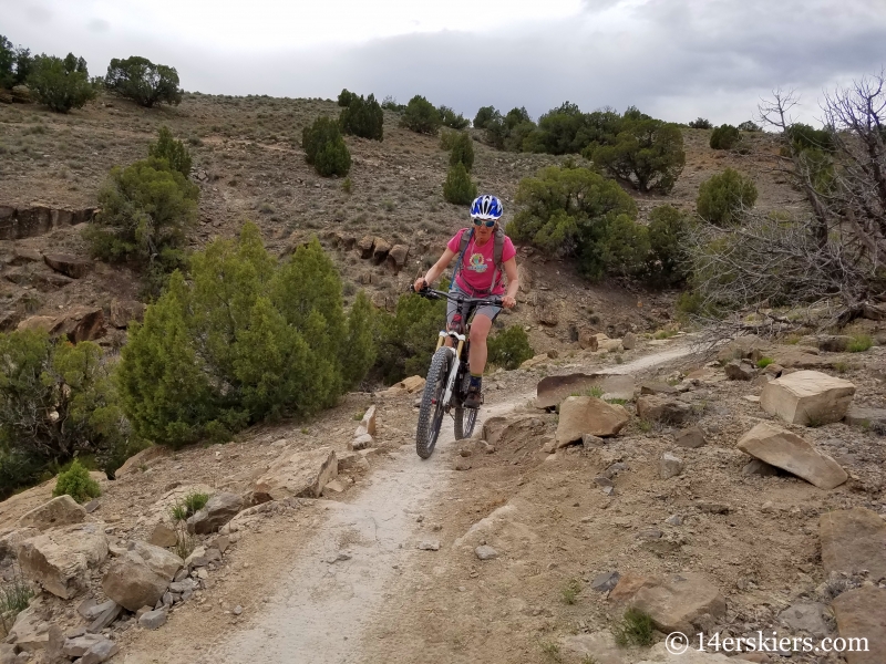 Mountain biking 101 - Wranglers Loop near Loma, Colorado