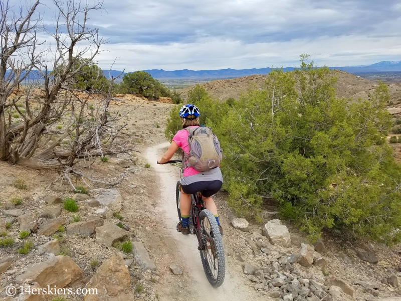 Mountain biking 101 - Wranglers Loop near Loma, Colorado