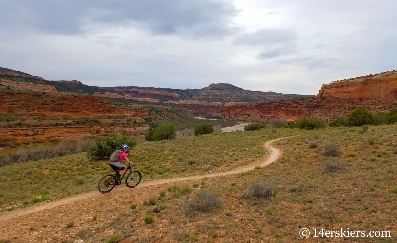 Mountain Biking 101 - Rustlers Trail