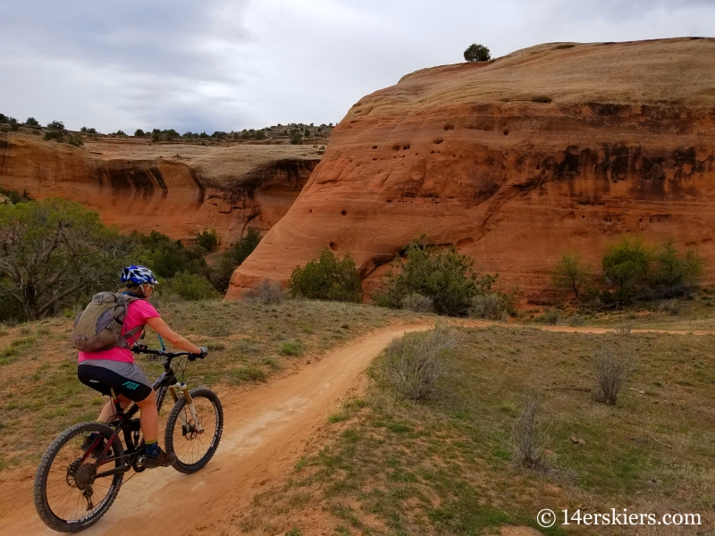 Mountain Biking 101 - Rustlers Trail