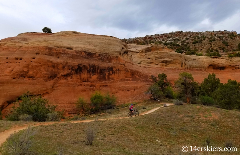 Mountain Biking 101 - Rustlers Trail