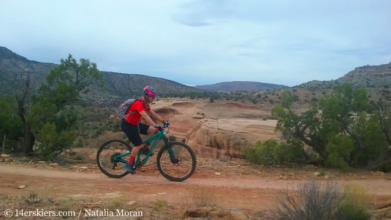 Mountain biking 101 - Wranglers Loop near Loma, Colorado