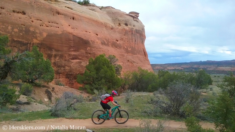 Mountain Biking 101 - Rustlers Trail