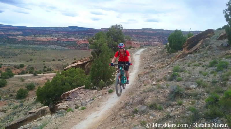 Mountain biking 101 - Wranglers Loop near Loma, Colorado