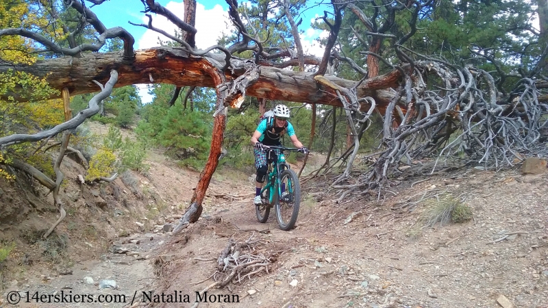 Brittany Walker Konsella mountain biking Arkansas Hills Cottonwood Tour in Salida, CO