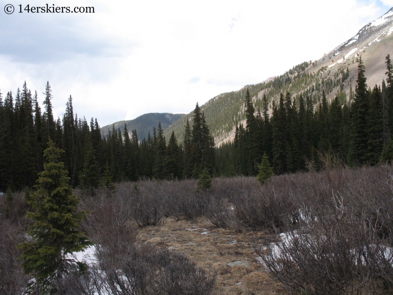 Valley of Willows near San Luis Peak. 