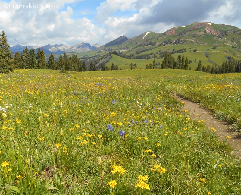 Raggeds as seen from the top of trail 401 near Crested Butte