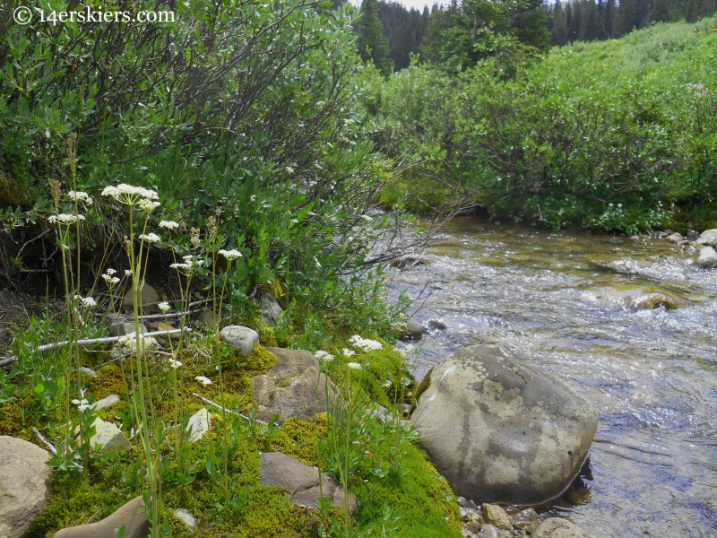 crossing the East Fork near West Maroon trail